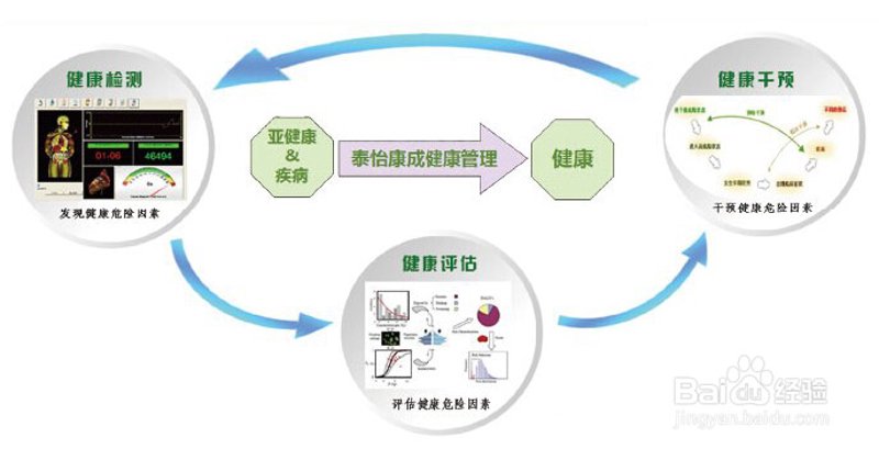 慢病管理：打造健康生活的护卫队